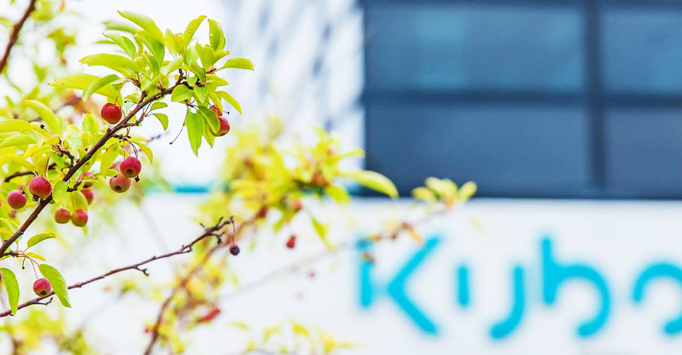 Kubota Engine History