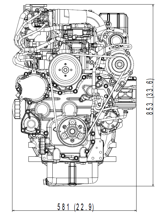 386(15.2) x 564(22.2)